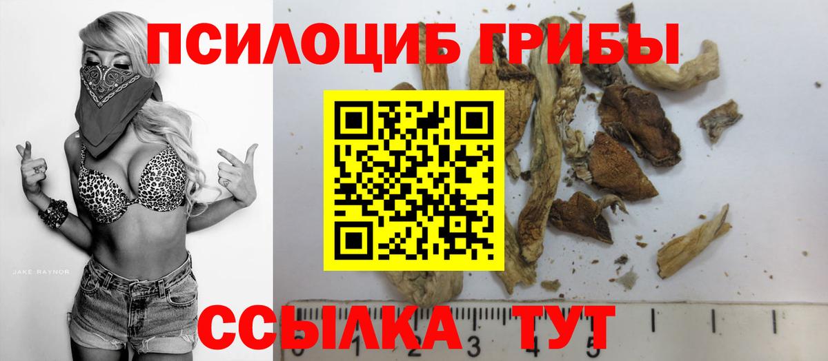 Армавир  Галлюциногенные грибы Cubensis  Вход с VPN 